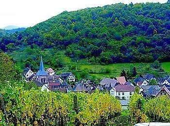 ホリデーパーク Belambra Clubs Albe - Les Cigognes 4*